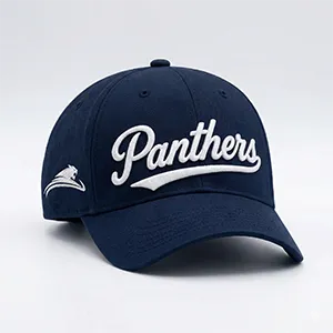 Panthers Şapka